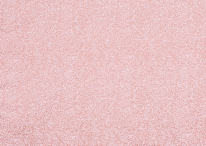 Rosecliff, Blush - Fabric Only - Image 3